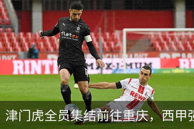 津门虎全员集结前往重庆，西甲强援加入争取保底1分